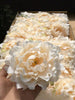 Christmas 20pcs Artificial Peony Flower Bouquets DIY, Suitable For Home Decor, Wedding, Party, Flower Wall Backdrop, Garden, Indoor/Outdoor Event, Dining Table Centerpiece Decor Home Decor Gift For New Year